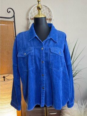 ZARA NWOT